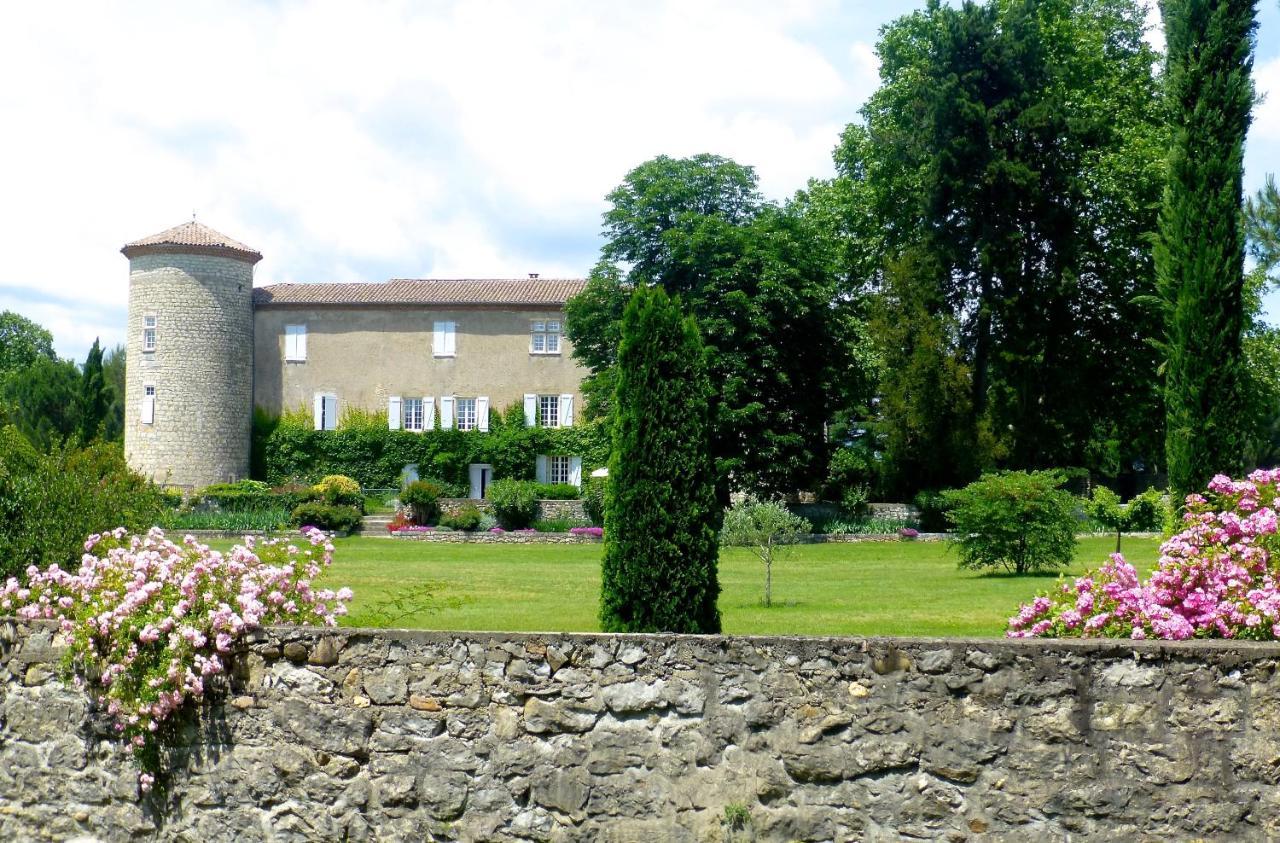 Gites Chateau De La Selve グロスピエール エクステリア 写真