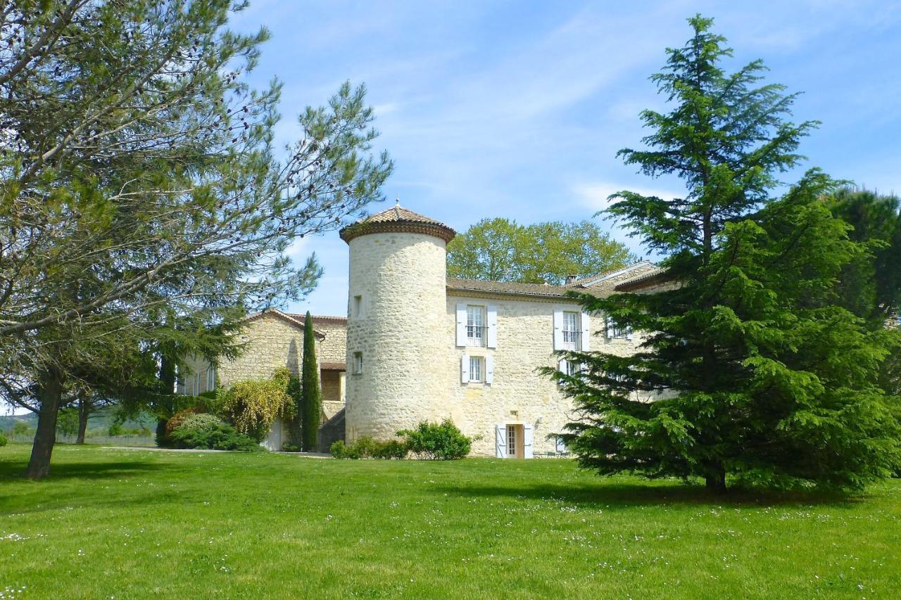 Gites Chateau De La Selve グロスピエール エクステリア 写真
