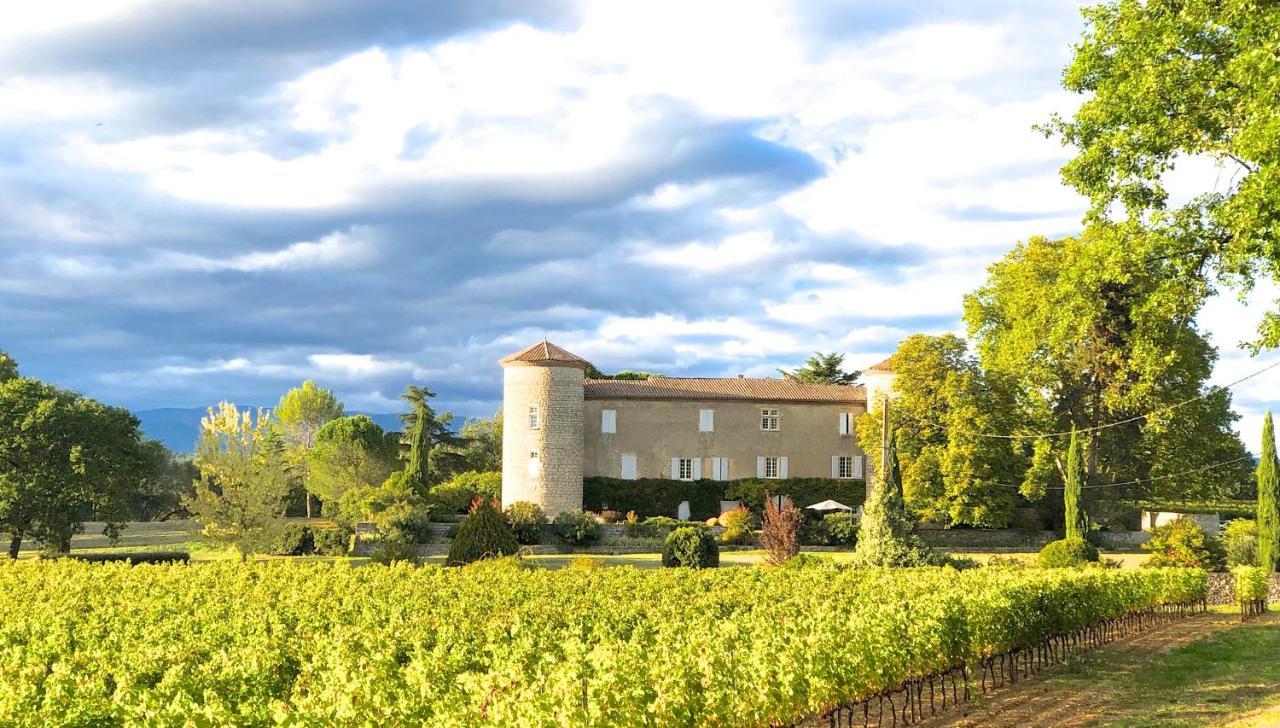 Gites Chateau De La Selve グロスピエール エクステリア 写真