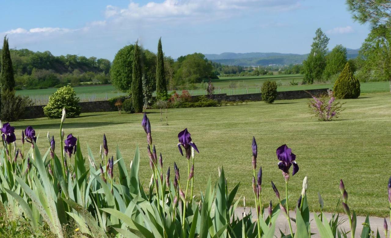 Gites Chateau De La Selve グロスピエール エクステリア 写真
