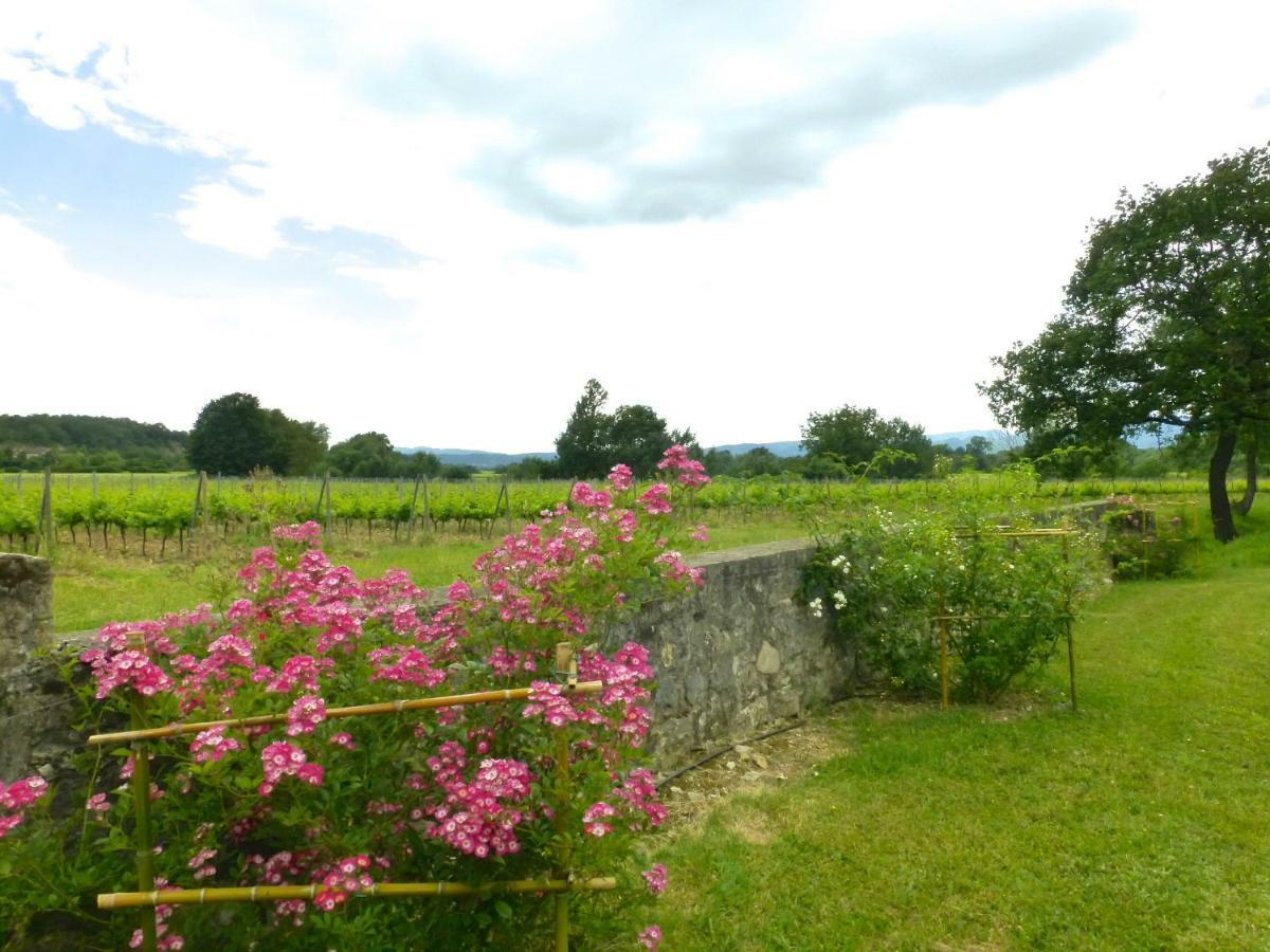 Gites Chateau De La Selve グロスピエール エクステリア 写真