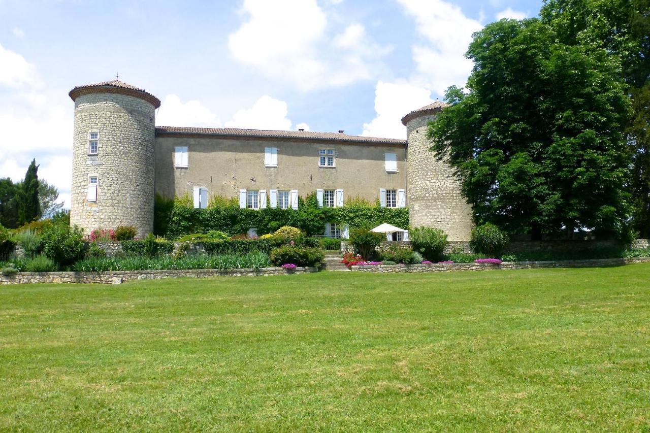 Gites Chateau De La Selve グロスピエール エクステリア 写真